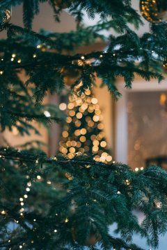 Vánoční ozdoby a dekorace - Dekor - Topol